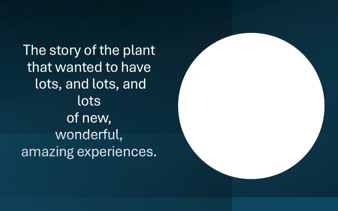 Keeping your roots in good soil – daily contact with God’s life-giving Word.